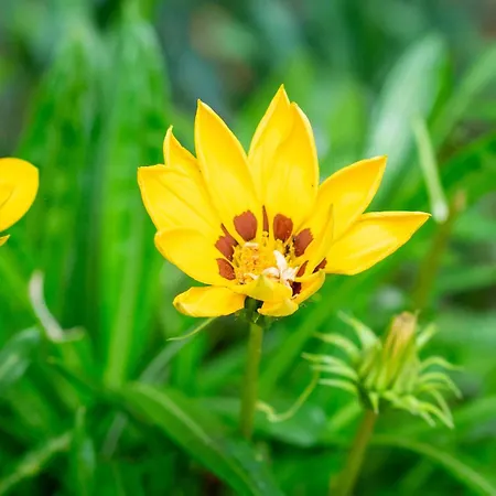 Apartament Le Ginestre 10 Murlo