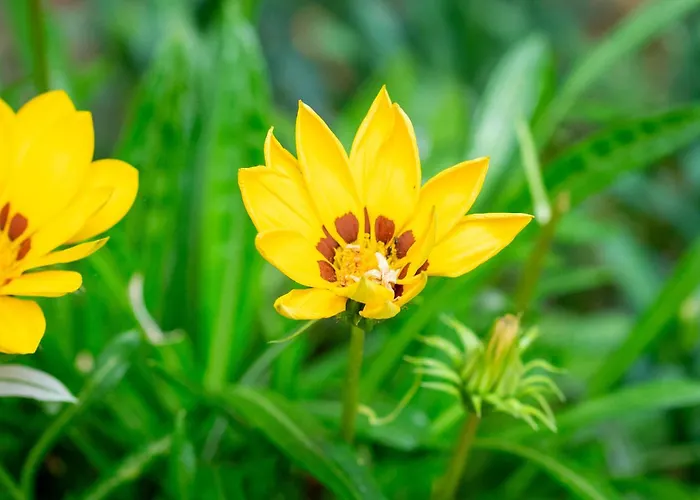 Apartament Le Ginestre 10 Murlo